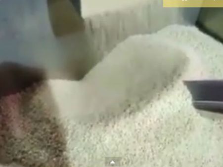 ટૂંક સમયમાં થશે ધરપકડ 