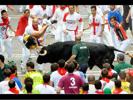 સાંઢ સાથે દોડ 