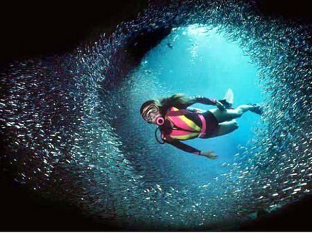 જો તમે આ રમત રમો છો, તો તમે મરી પણ શકો છો!