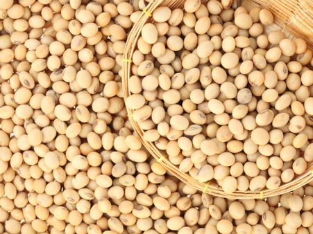સોયાબીન