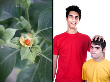 ઊંચાઇ વધારવા ઇચ્છો છો તો આ અજમાવી જુઓ