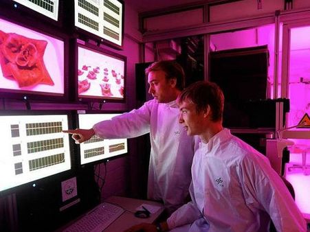 વાઇસ પ્રેસિડન્ટ એન્જિનિયરિંગ