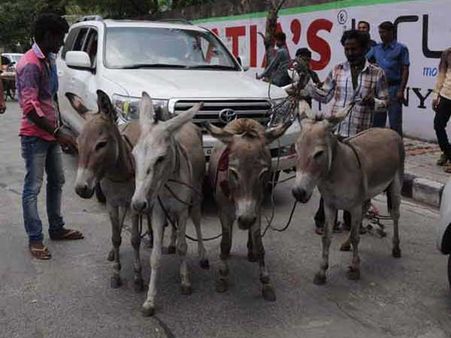 રાહુલ ગાંધીથી લઇને અમિતાભ સુધી