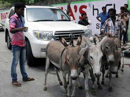 સુરતીલાલાનો અનોખો વિરોધ: ગધેડાથી ખેંચાવી ટોયોટા લેન્ડ ક્રૂઝર કારને