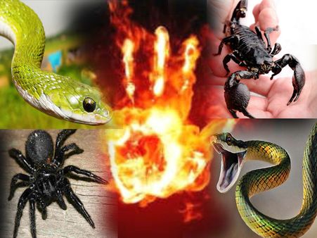 આ 10 થેરાપી વિશે વાંચીને આપ બોલી ઊઠશો OMG!