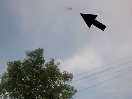 શું આટલે ઊંચે ઉડી શકે સાંપ