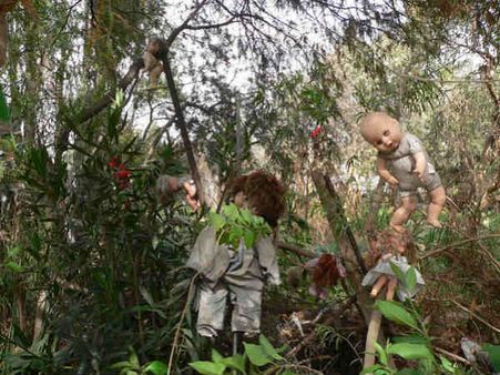 માત્ર ડોલ જ નહીં 