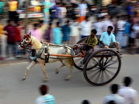 અલ્હાબાદમાં યોજાઇ ઘોડાગાડી રેસ 