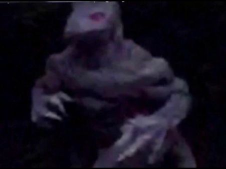 અમેરિકામાં વીડિયોમાં કેદ થયું 'ક્રિચર' જેવું પ્રાણી