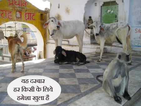 આ દરબાર સૌના માટ છે આ દરબાર સૌના માટ છે