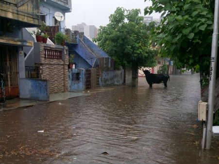 ખોખરા વિસ્તાર