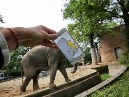 પહેલી તસવીર