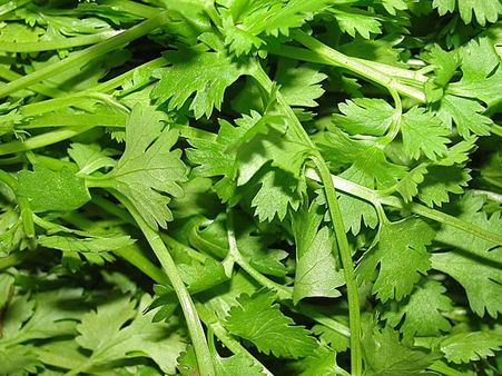 લીલા ધાણા