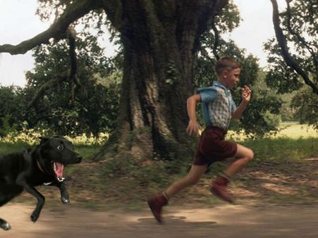 ભાગ શકે તો ભાગ લે! 