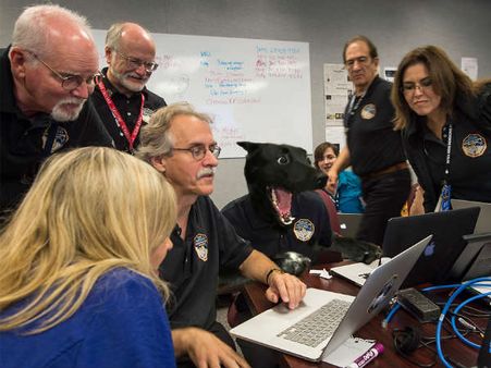 ડોગ ઇન્સપેક્ટર 