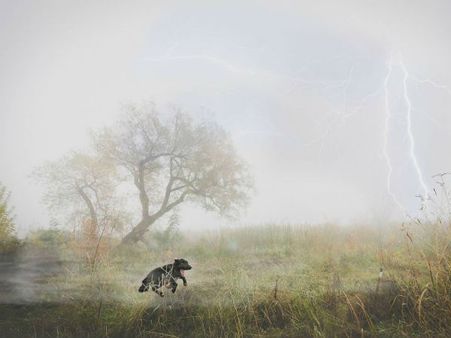 સૌથી બેસ્ટ 