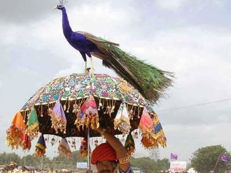 તરણેતરનો મેળા