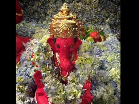 ઇકો-ફ્રેન્ડલી ઇકો-ફ્રેન્ડલી