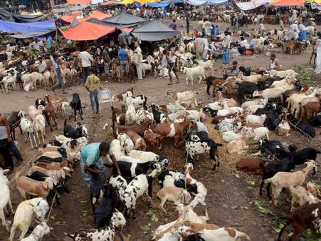 ઇદની તૈયારીઓ પૂરજોશમાં 