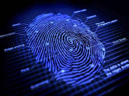 મૂત્રાશયનો આકાર