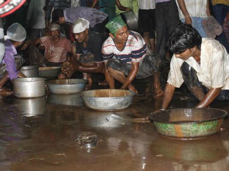 ધીના રેલા 