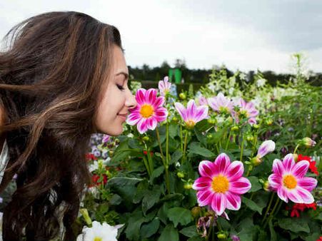 મહિલાઓમાં સુંઘવાની ક્ષમતા વધુ 