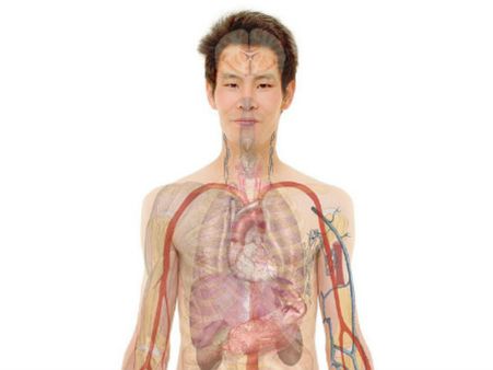 300 મિલીયન કોશિકાઓ પ્રતિમિનીટ નષ્ટ 