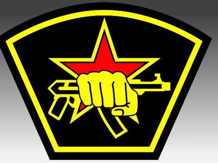 હથિયારોની પસંદગી સમજી વિચારીને 