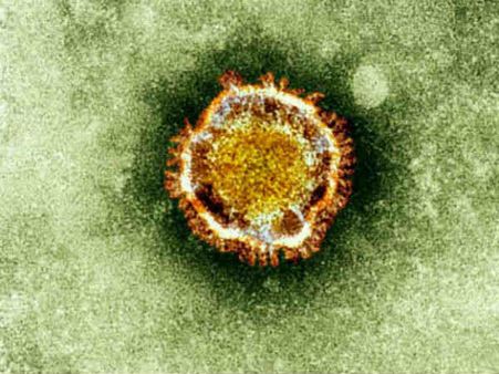 જનીન વાઇરસ