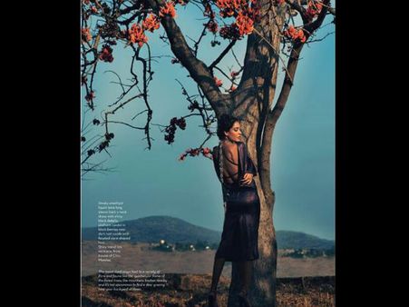 લિઝા હેડન 