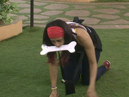 સ્પેશ્યલ ફ્રી સ્પેશ્યલ ફ્રી