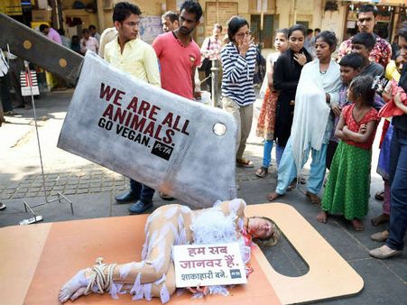 પેટાના કાર્યકર્તાઓએ ચિકનીના ખાવા માટે કર્યું આમ પેટાના કાર્યકર્તાઓએ ચિકનીના ખાવા માટે કર્યું આમ