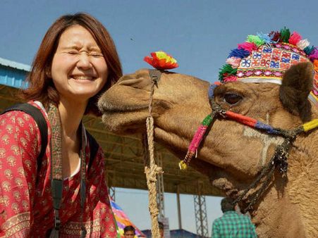 કિસ ઓફ લવ, ઊંટ કરી યુવતીને પપ્પી કિસ ઓફ લવ, ઊંટ કરી યુવતીને પપ્પી