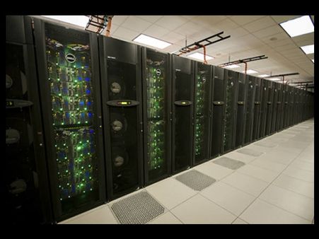 સટૈંપીડી (stampede) 