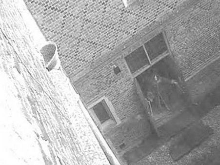 ફેક તસવીર 