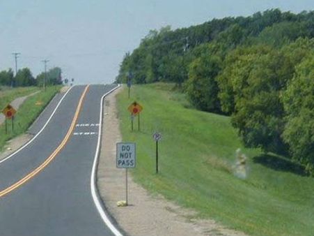 ફેક તસવીર 