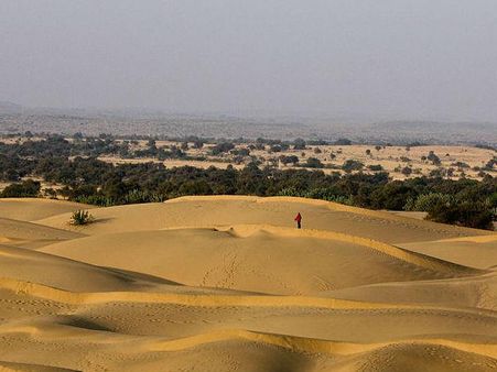 થાર ડેઝર્ટ 