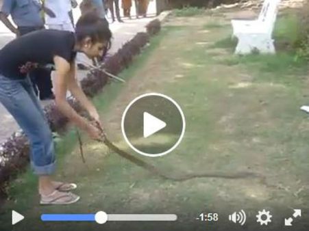 Video: કઈ રીતે કોબ્રાને એક છોકરીએ હસતા હસતા કાબુમાં કર્યો