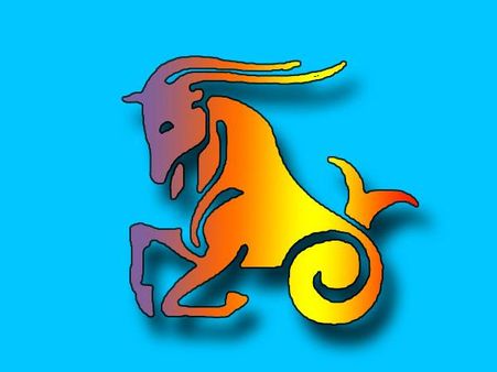 મકર રાશિ 