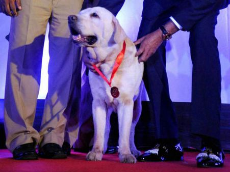 શોર્ય ચક્ર અને સેના મેડલ 