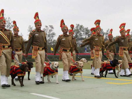 આપે છે પોતાની સેવા 