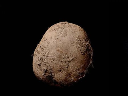 OMG: બટાકાની ફોટો 6.76 કરોડમાં વેચાઈ