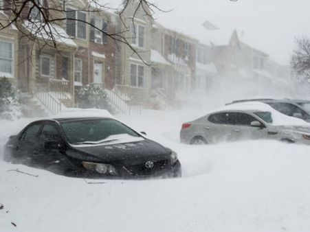 સ્નોઝિલાની તસવીરો 