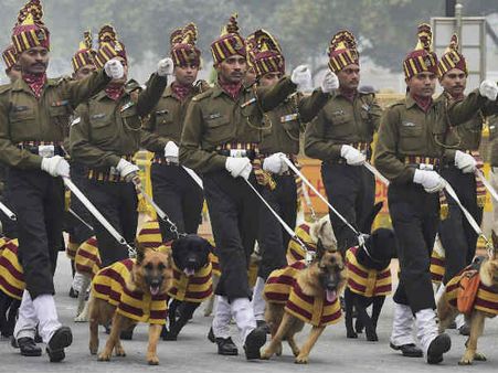 ડોગ સ્કવોર્ડ