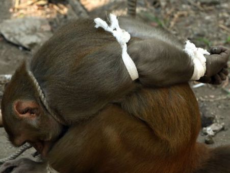 ઘરમાંથી ચોરી કરતો હતો સામાન 