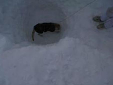 હનુમાનથપ્પાને તમારી પ્રાર્થનાની જરૂર છે