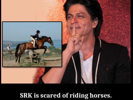 ધોડેસવારી 