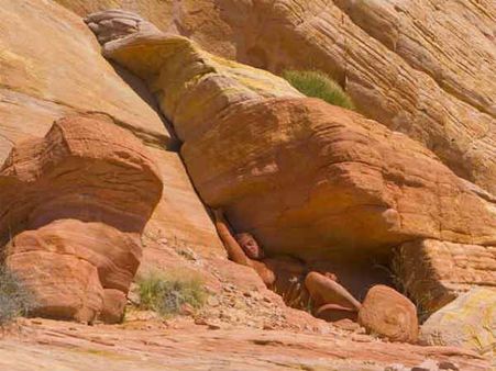 મેલ ફિમેલ મોડેલ્સ