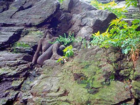 જુઓ તસ્વીરો: આ ફોટોમાં છુપાયેલી છે ન્યુડ મોડેલ્સ