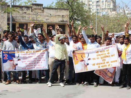 રાજકોટમાં ગૌપ્રેમીઓએ ઝેર પીધું